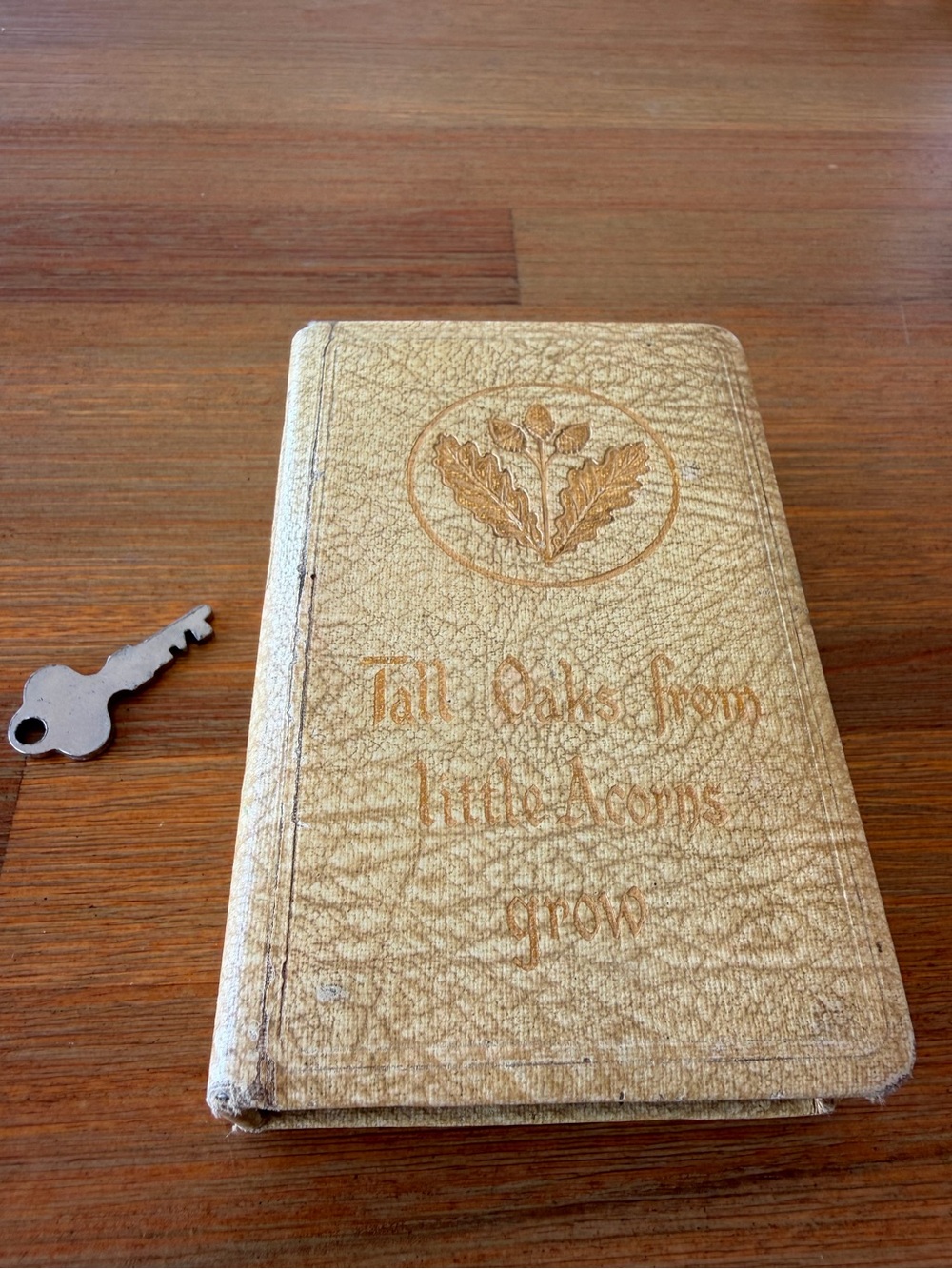 Vintage Tall Oaks From Little Acorns Grow Savings Money Box Book w/ Original Key